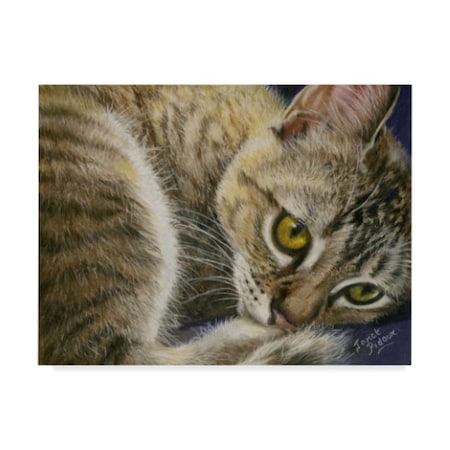 Janet Pidoux 'Bright Eye Kitten' Canvas Art,24x32